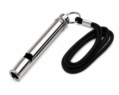 WHISTLE